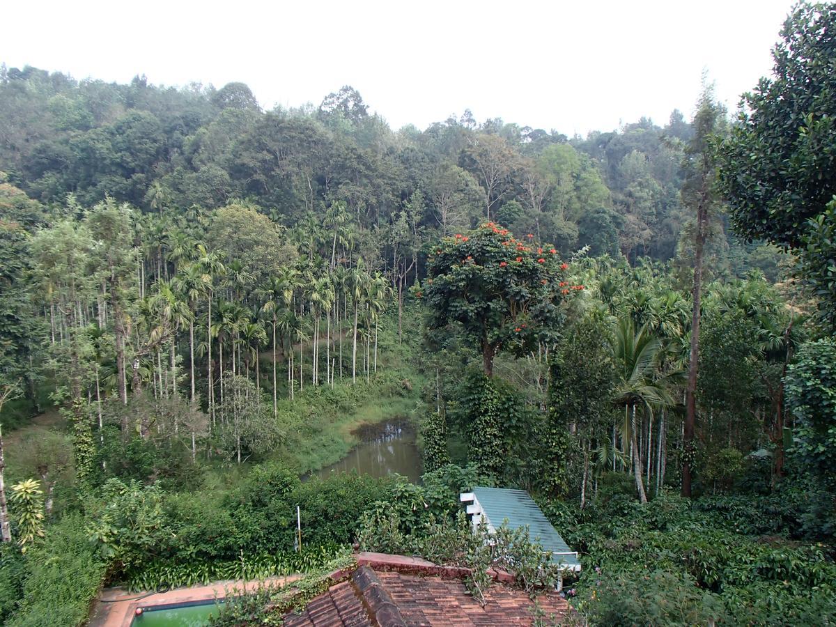 מדיקרי Coorg 4 C'S Little Paradise מראה חיצוני תמונה