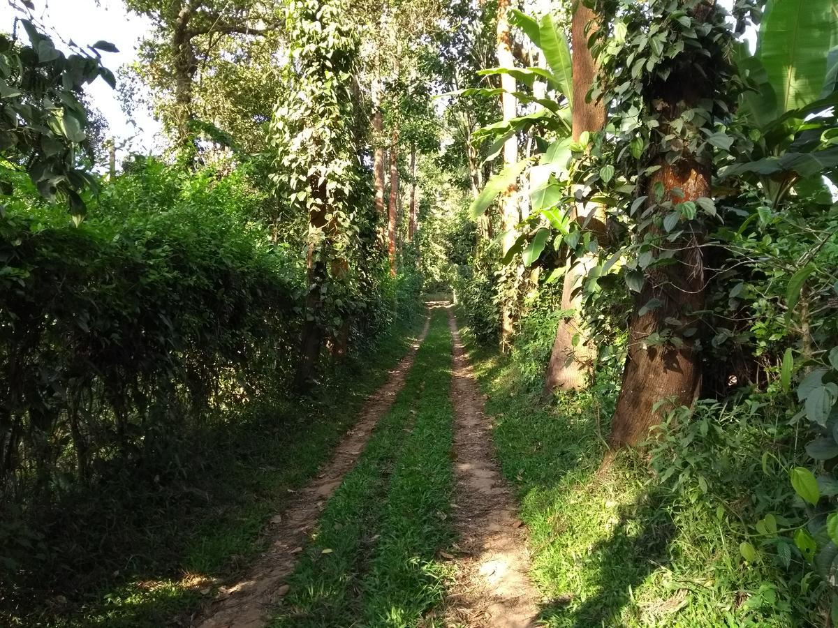 מדיקרי Coorg 4 C'S Little Paradise מראה חיצוני תמונה