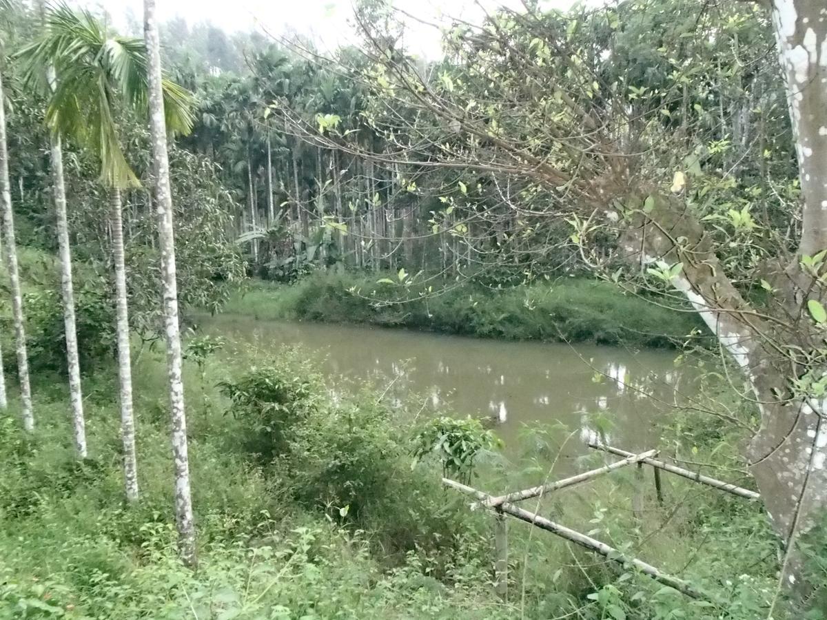 מדיקרי Coorg 4 C'S Little Paradise מראה חיצוני תמונה